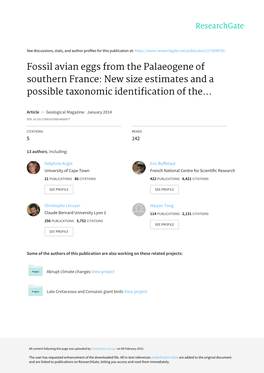 Fossil Avian Eggs from the Palaeogene of Southern France: New Size Estimates and a Possible Taxonomic Identification of The