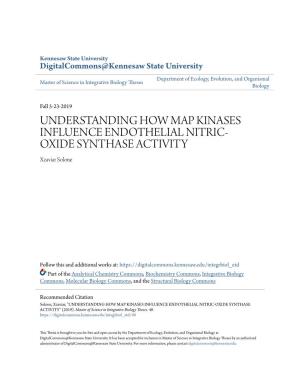 Understanding How Map Kinases Influence Endothelial Nitric-Oxide Synthase Activity" (2019)
