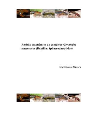 Revisão Taxonômica Do Complexo Gonatodes Concinnatus (Reptilia: Sphaerodactylidae)