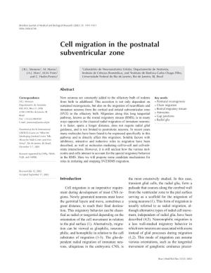 Cell Migration in the Postnatal Subventricular Zone
