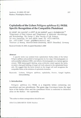 Cephalodia of the Lichen Peltigera Aphthosa (L.) Willd