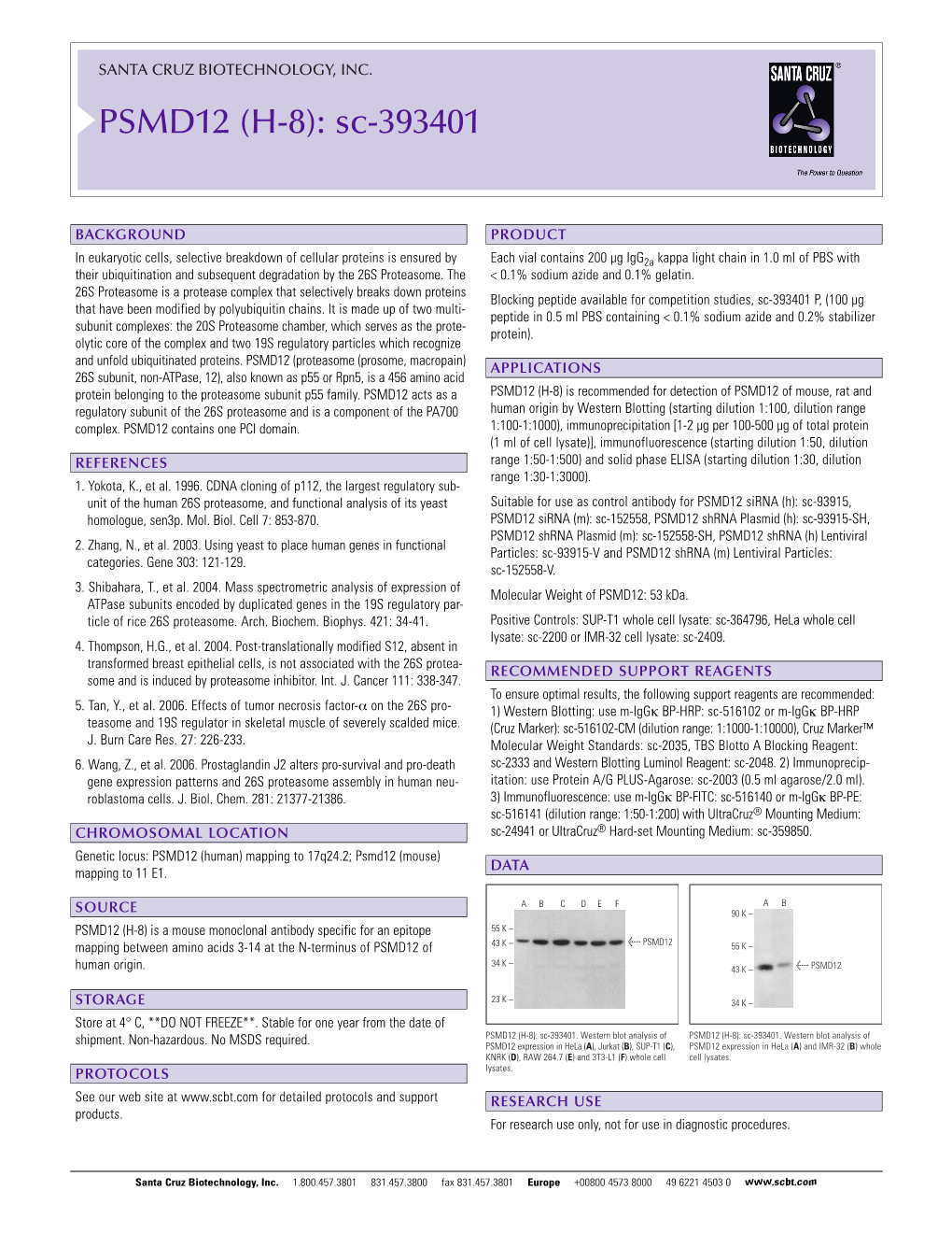 PSMD12 (H-8): Sc-393401