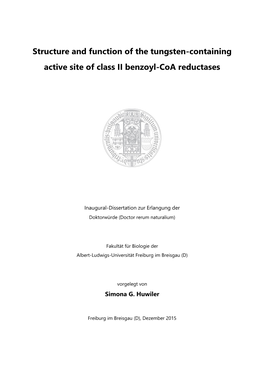 Structure and Function of the Tungsten-Containing Active Site of Class II Benzoyl-Coa Reductases