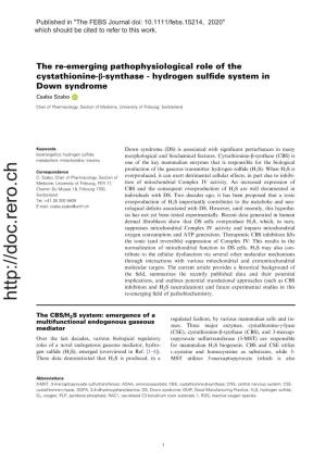 Hydrogen Sulfide System in Down Syndrome