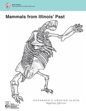 Mammals Past