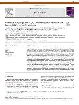 Metabolism of Hydrogen Sulfide (H2S) and Production of Reactive Sulfur Species (RSS) by Superoxide Dismutase