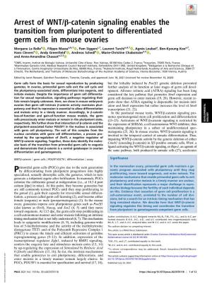 Arrest of WNT/Β-Catenin Signaling Enables the Transition from Pluripotent to Differentiated Germ Cells in Mouse Ovaries