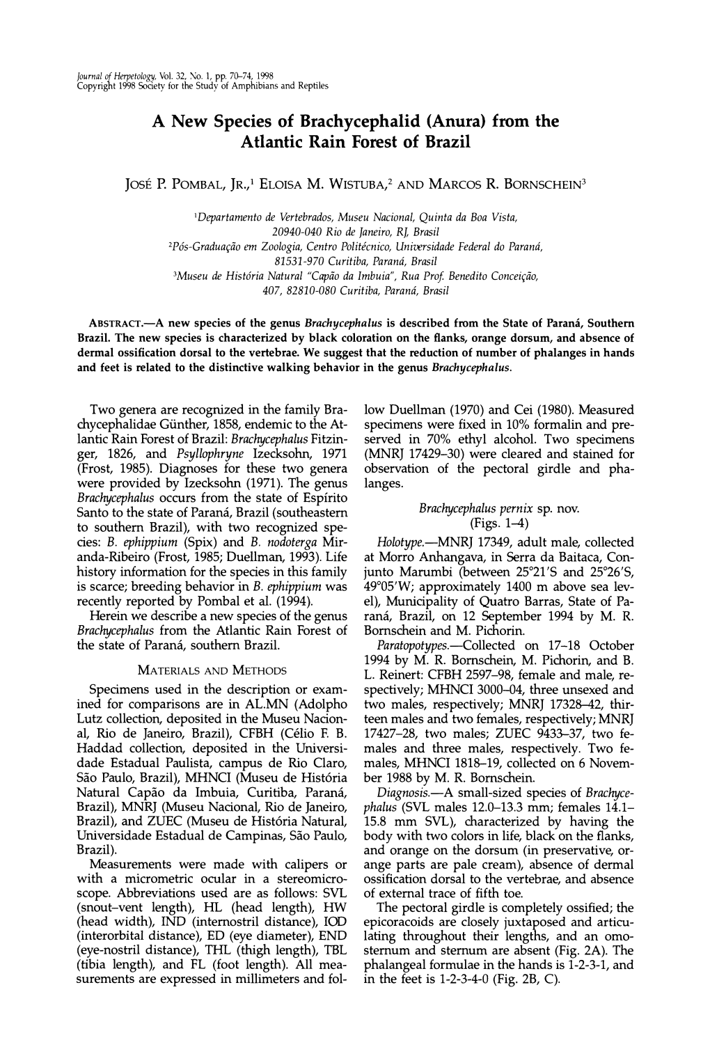 A New Species of Brachycephalid (Anura) from the Atlantic Rain Forest of Brazil