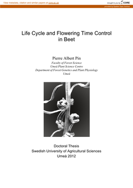 Life Cycle and Flowering Time Control in Beet