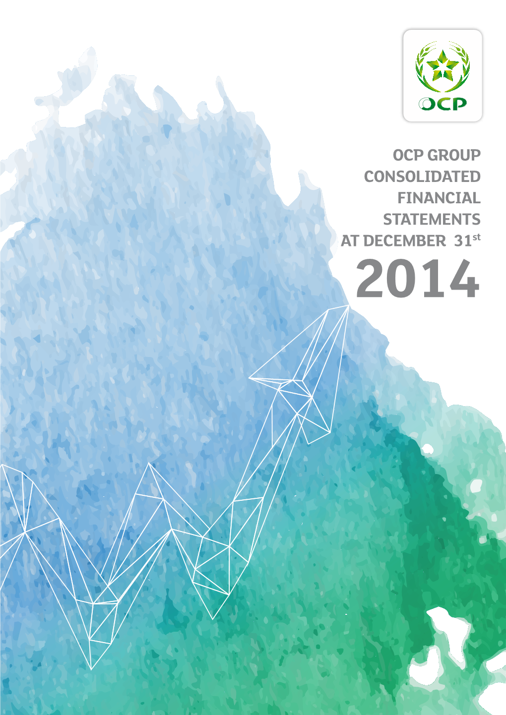 OCP GROUP CONSOLIDATED FINANCIAL STATEMENTS at DECEMBER 31St