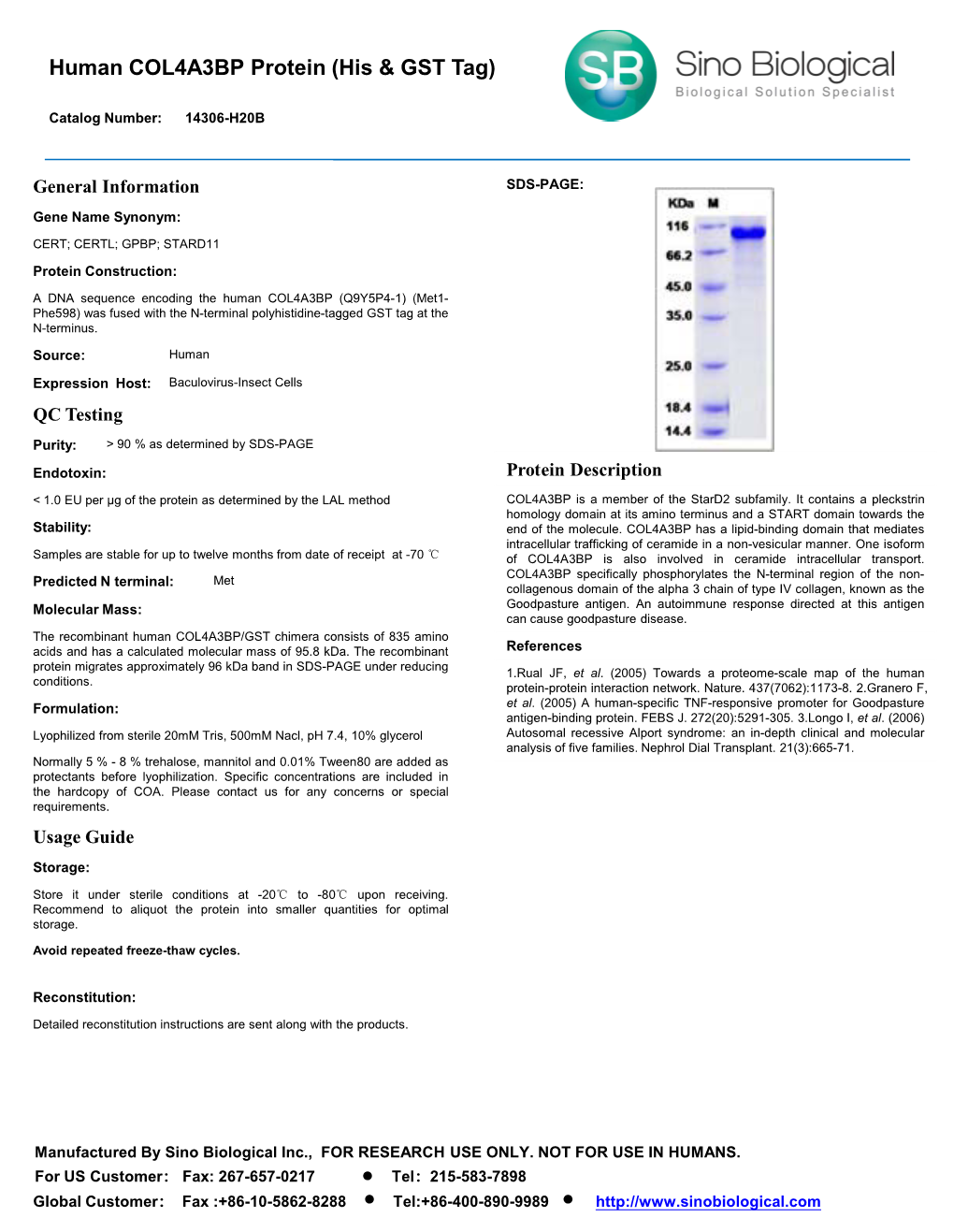 Human COL4A3BP Protein (His & GST Tag)