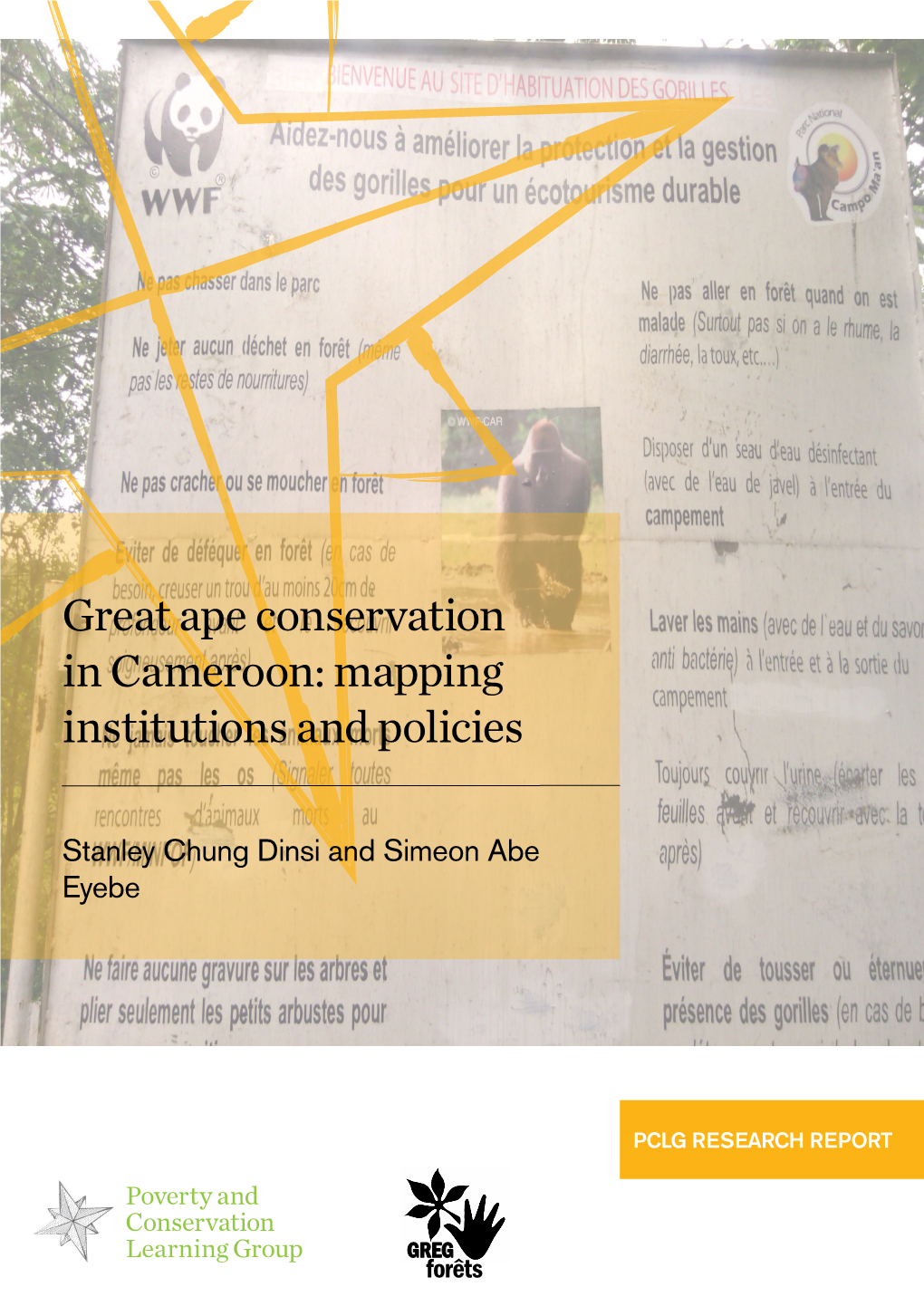 Great Ape Conservation in Cameroon: Mapping Institutions and Policies