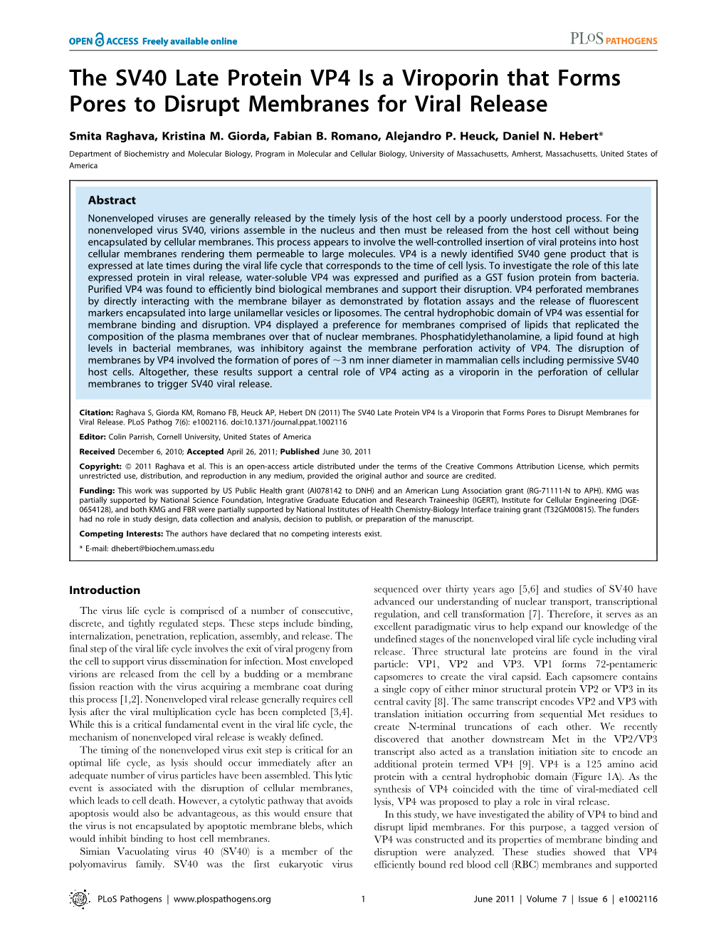 The SV40 Late Protein VP4 Is a Viroporin That Forms Pores to Disrupt Membranes for Viral Release