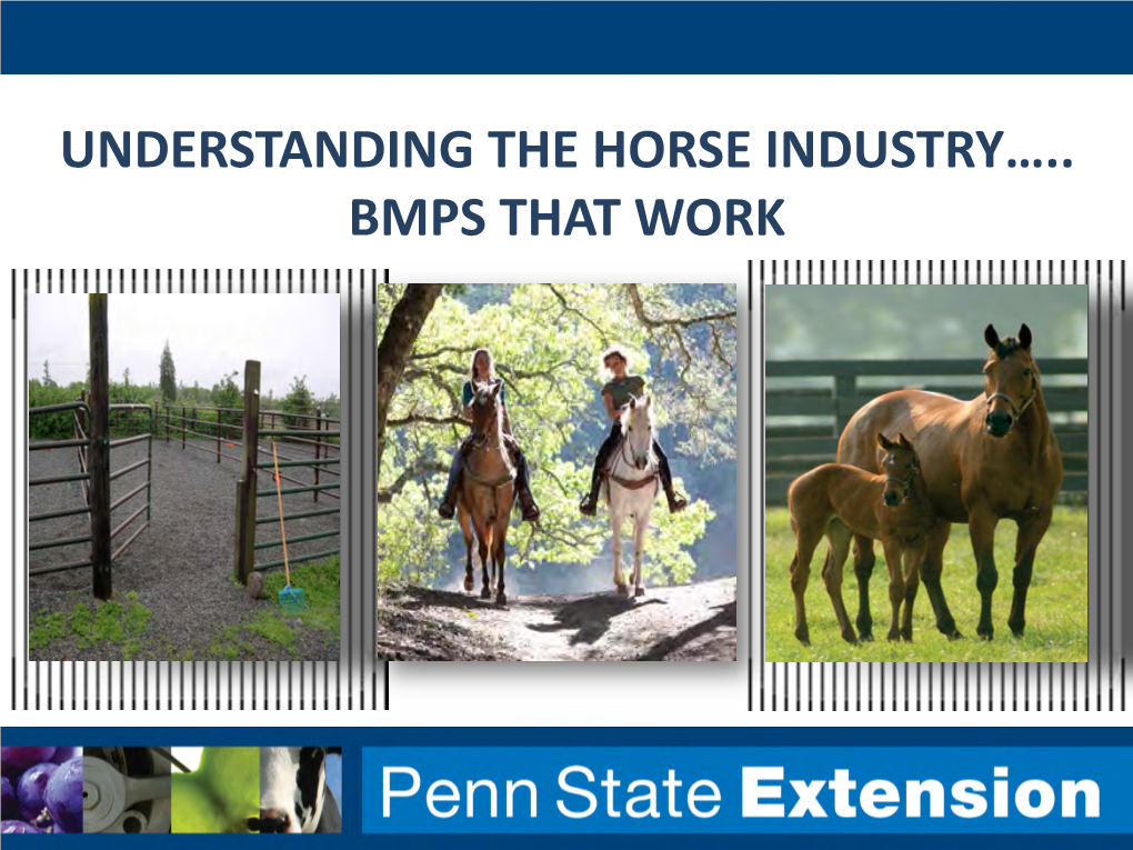 Understanding the Horse Industry….. Bmps That Work