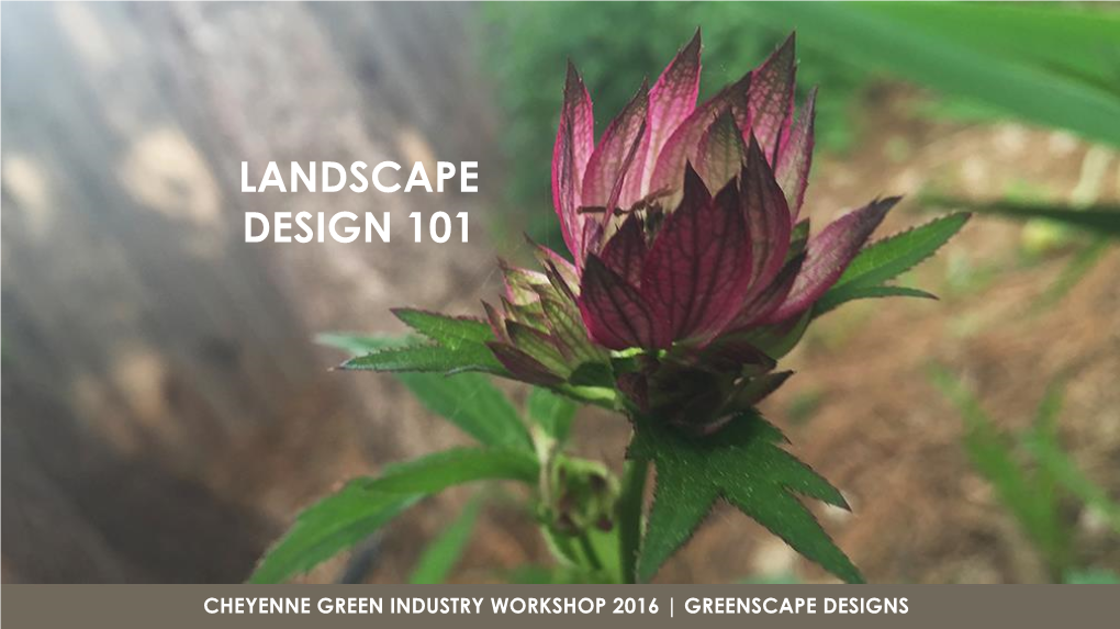 Landscape Design 101