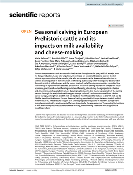 Seasonal Calving in European Prehistoric Cattle and Its Impacts On
