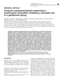 Temporal Metatranscriptomic Patterning in Phototrophic Chloroflexi Inhabiting a Microbial Mat in a Geothermal Spring