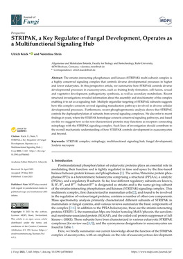 STRIPAK, a Key Regulator of Fungal Development, Operates As a Multifunctional Signaling Hub