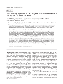 Follicular Thyroglobulin Enhances Gene Expression Necessary for Thyroid Hormone Secretion