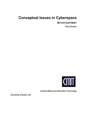 Conceptual Issues in Cyberspace