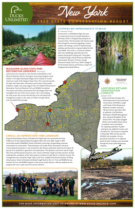 New York Conservation Report