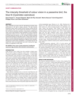 The Intensity Threshold of Colour Vision in a Passerine Bird, the Blue Tit (Cyanistes Caeruleus)