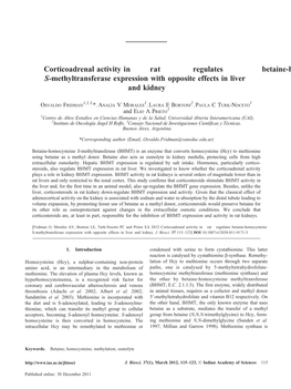 Corticoadrenal Activity in Rat Regulates Betaine-Homocysteine S-Methyltransferase Expression with Opposite Effects in Liver and Kidney