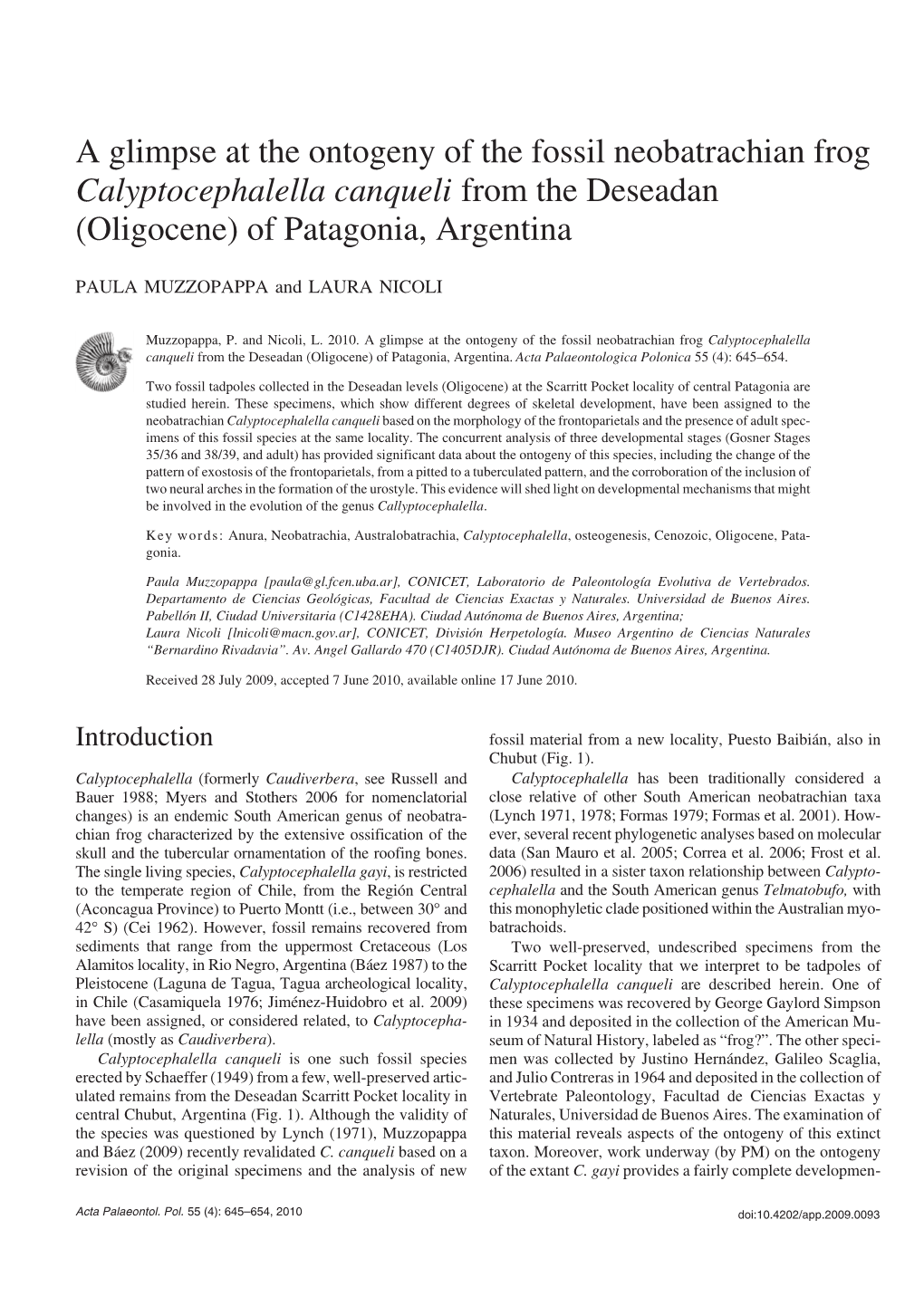 A Glimpse at the Ontogeny of the Fossil Neobatrachian Frog Calyptocephalella Canqueli from the Deseadan (Oligocene) of Patagonia, Argentina