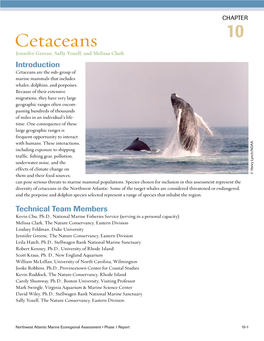 Cetaceans Jennifer Greene, Sally Yozell, and Melissa Clark Introduction Cetaceans Are the Sub-Group of Marine Mammals That Includes Whales, Dolphins, and Porpoises