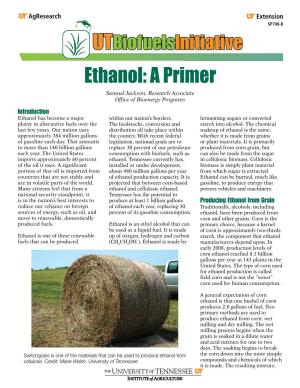 Ethanol: a Primer Samuel Jackson, Research Associate Office of Bioenergy Programs Introduction Ethanol Has Become a Major Within Our Nation’S Borders