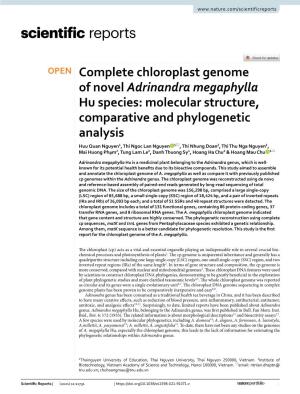 Complete Chloroplast Genome of Novel Adrinandra