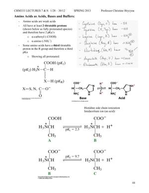 Amino Acids III and Peptides