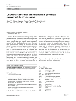 Ubiquitous Distribution of Helmchrome in Phototactic Swarmers of the Stramenopiles