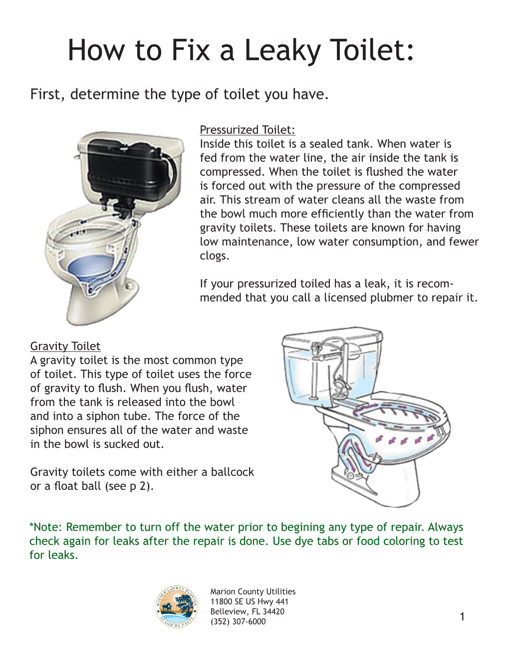 How to Fix a Leaky Toilet