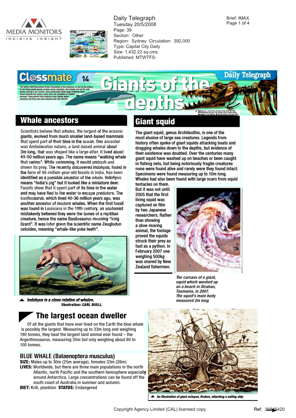 Whale Ancestors Giant Squid