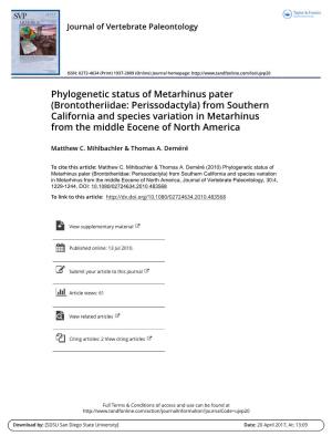 Phylogenetic Status of Metarhinus Pater (Brontotheriidae: Perissodactyla) from Southern California and Species Variation in Meta