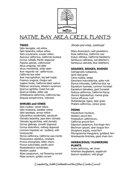 Native Bay Area Creek Plants