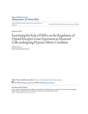 Examining the Role of Hres on the Regulation of Opioid Receptor