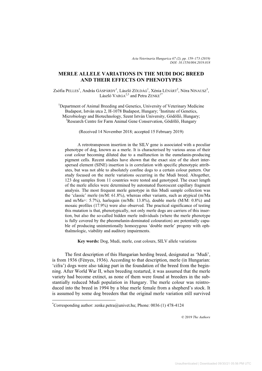 Merle Allele Variations in the Mudi Dog Breed and Their Effects on Phenotypes