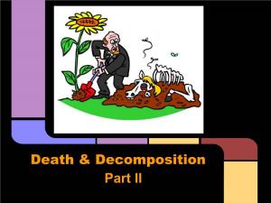 Death & Decomposition Part II