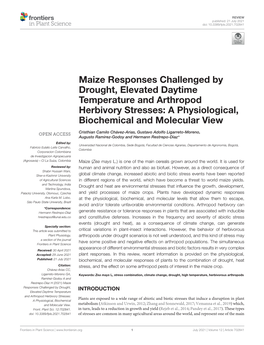 Maize Responses Challenged by Drought, Elevated Daytime Temperature and Arthropod Herbivory Stresses: a Physiological, Biochemical and Molecular View