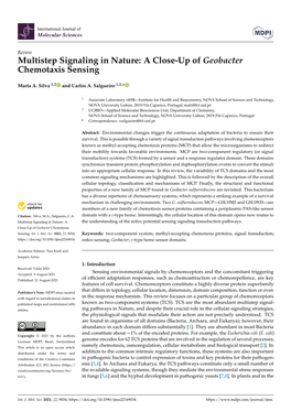 Multistep Signaling in Nature: a Close-Up of Geobacter Chemotaxis Sensing