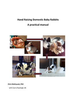 Hand Raising Domestic Baby Rabbits a Practical Manual
