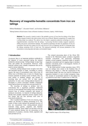 Recovery of Magnetite-Hematite Concentrate from Iron Ore Tailings
