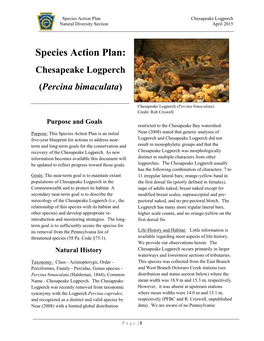 Species Action Plan: Chesapeake Logperch (Percina Bimaculata)
