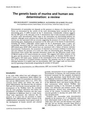 The Genetic Basis of Murine and Human Sex Determination: a Review