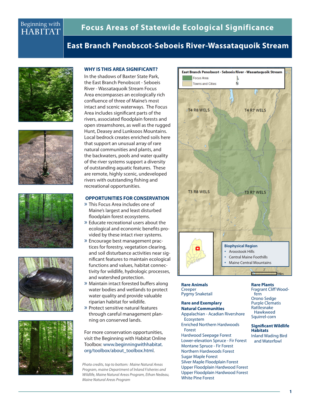 Focus Areas of Statewide Ecological Significance East Branch