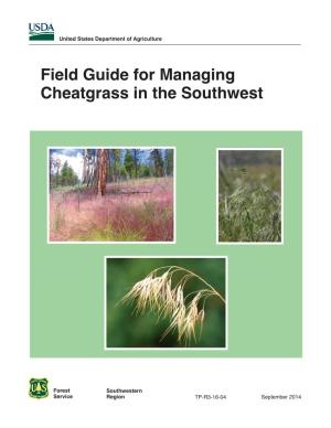 Managing Cheatgrass in the Southwest