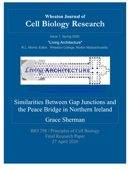 Cell Biology Research