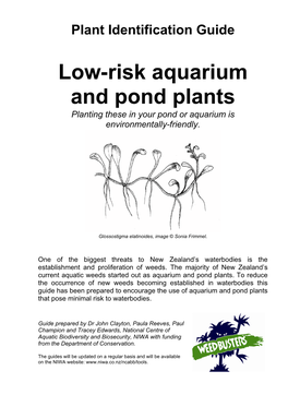 Low Risk Aquarium and Pond Plants